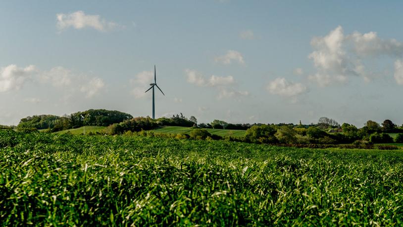 Vindmølle i det langelandske landskab