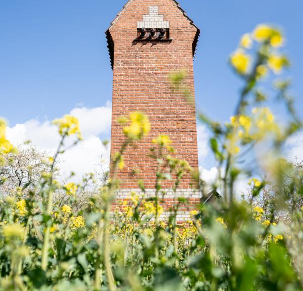 Danmarks længste kunstudstilling - besøg Langelands kunsttårne