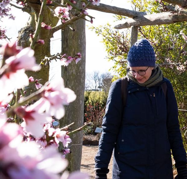 Oplev foråret på Langeland