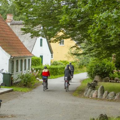 Det er nemt at komme rundt på Strynø på cykel